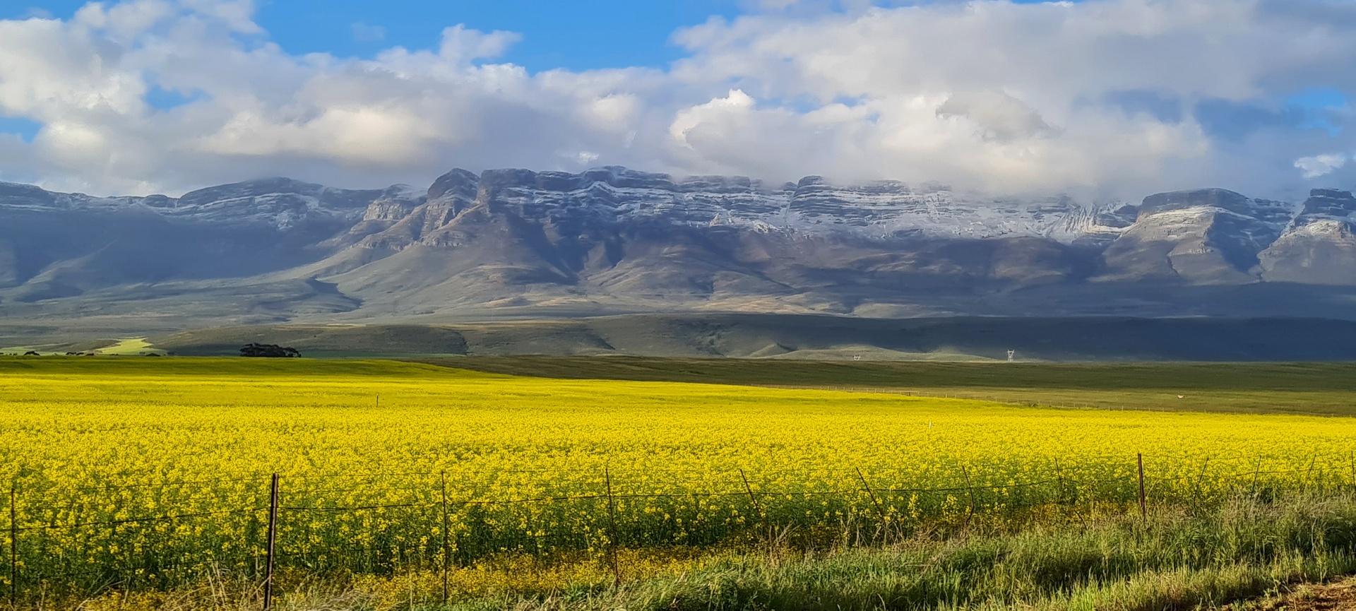 PSSA Bronze Medal-Scholars - Digital Camera Open -A path between seasons-Anjani Kara-Schools - Charlie Hofmeyr HS