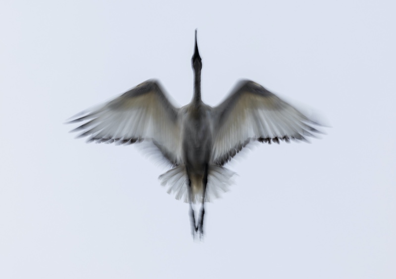 PSSA SILVER MEDAL-Prints Open Colour-Crossing over-Kim Stevens-Cape Town Photographic Society