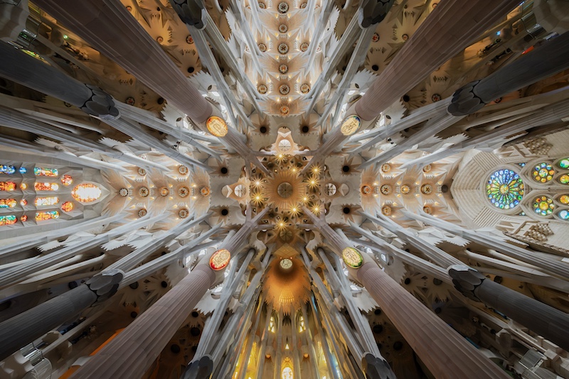 WPS Silver Medal-Prints Colour-Sagrada Ceiling-Joyce Goldschmidt-Cape Town PS