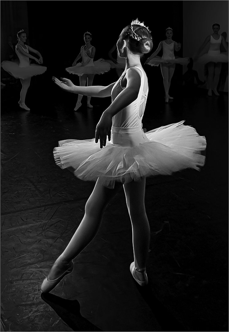 FIAP Honorary Ribbon-Dancing Princess by Inge Keyser from Centurion HS Score 23