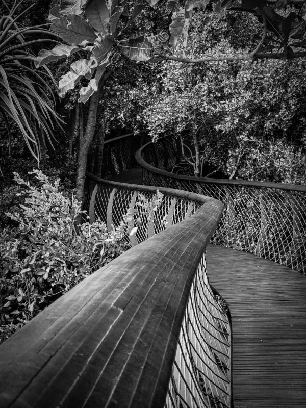 Jungle Walk-Janie  Bester from Piketberg HS