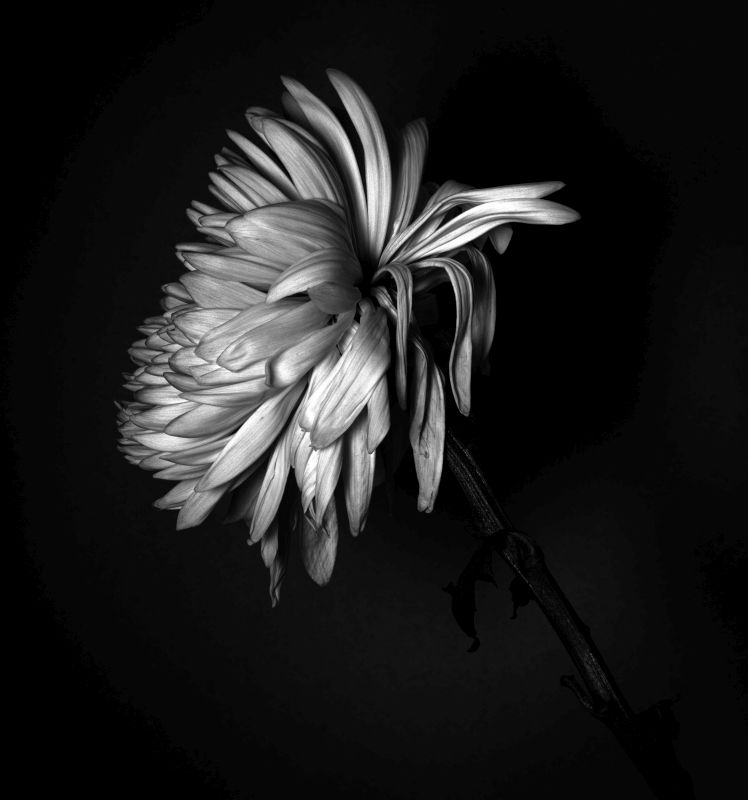 Light in the Void-Phiane Oosthuizen from Linden HS