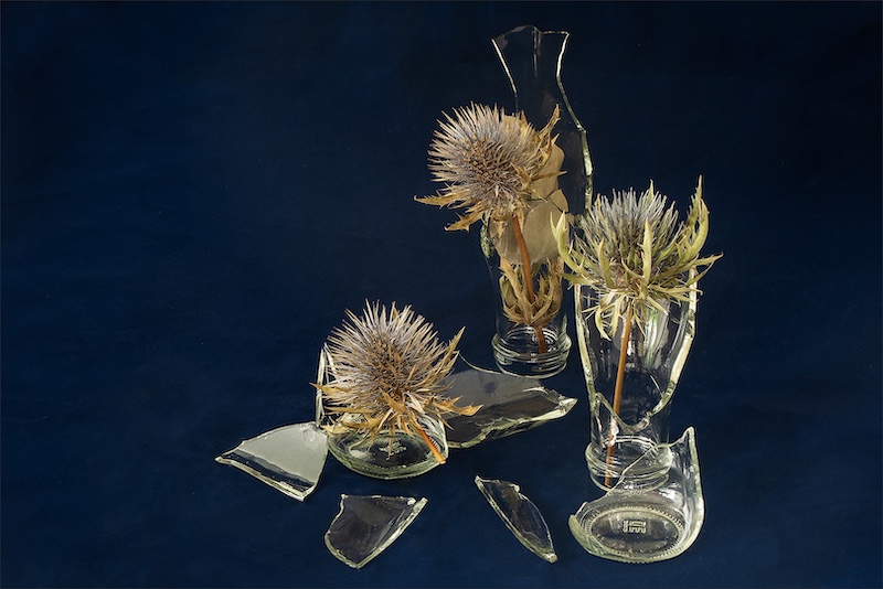 APE Honorable Mention- Sharp fragments by Luane Kruger