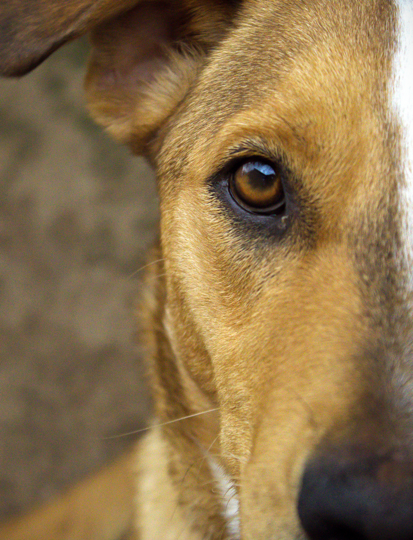 Her Story by Joanna Manoj from Queenstown Girls HS