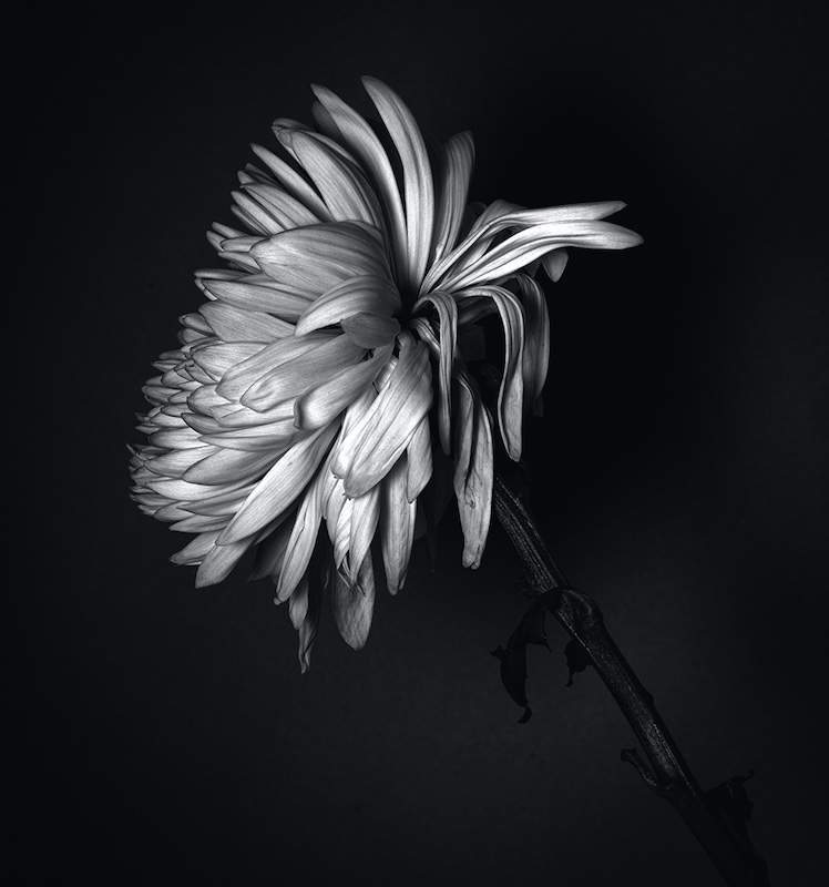 Light in the void  by Phiane Oosthuizen from HS Linden