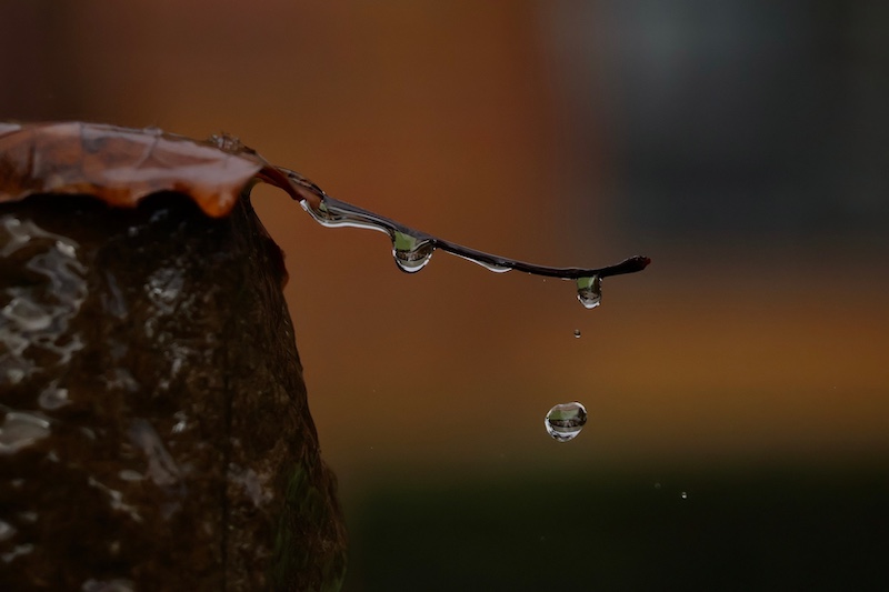 The beauty of everyday life by Kayla Woodroffe of St Mary DSG Kloof