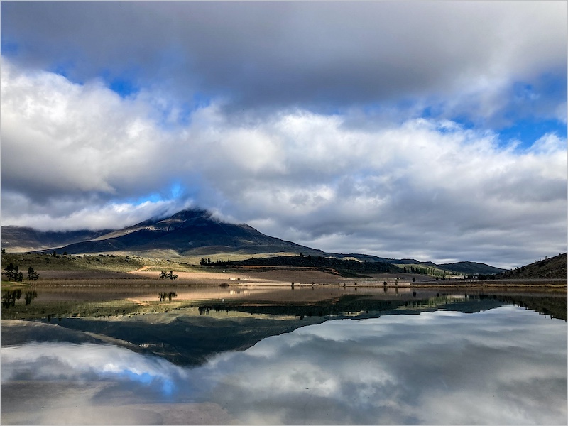 Nature-Sofia Van Der Merwe with Glass reflection from Charlie Hofmeyr HS