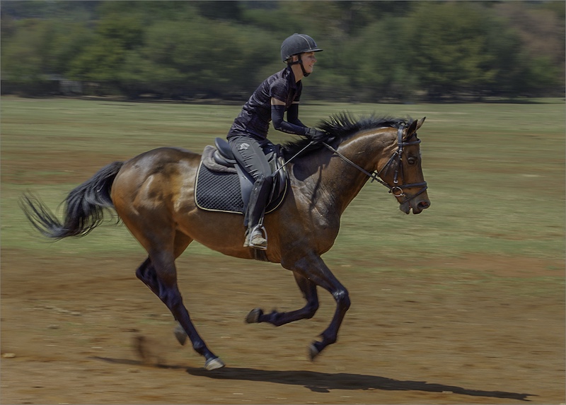Boksburg Camera Club - Ina Lubbe - Chasing the Wind