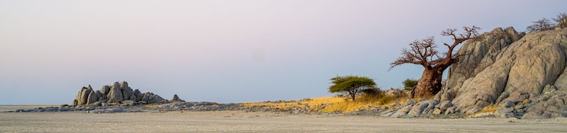 Centurion Camera Club - Marriette Hobkirk van Wyk - Sentinels of the salt pan