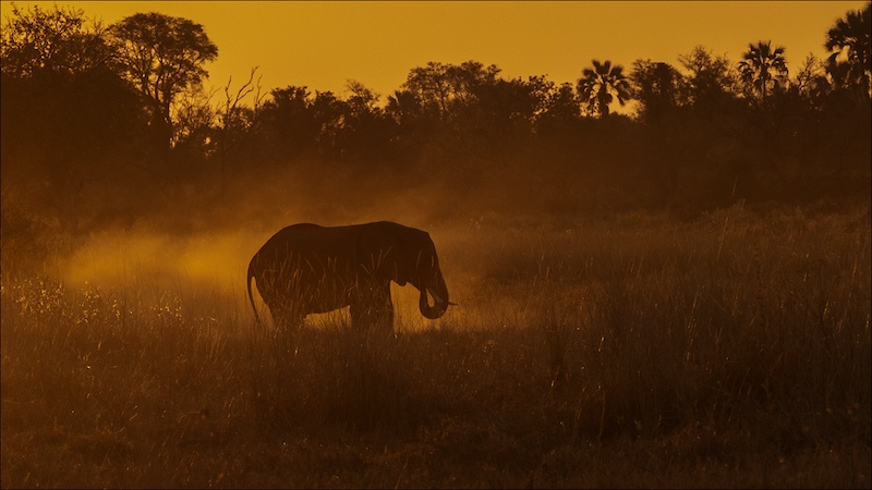 Hillcrest Camera Club - Fiona Azzopardi - Through the Haze
