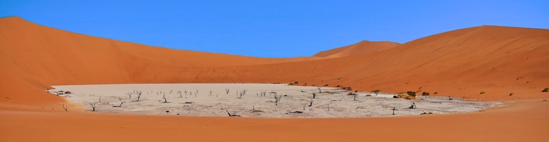 Sapphire Coast Camera Club - Benita Van Eeden - Dead Vlei