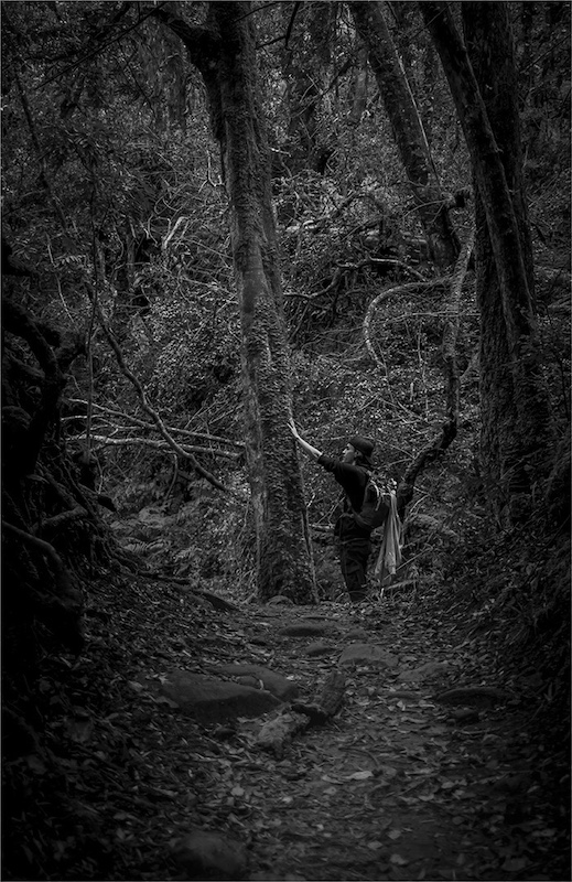 Southern Suburbs Camera Club - Stuart Robertson - Tree hugger