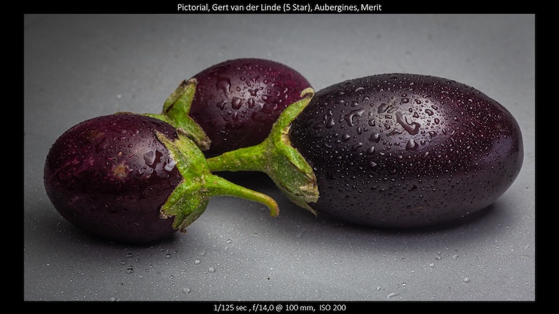 Bluff Camera Club - Gert van der Linde - Aubergines