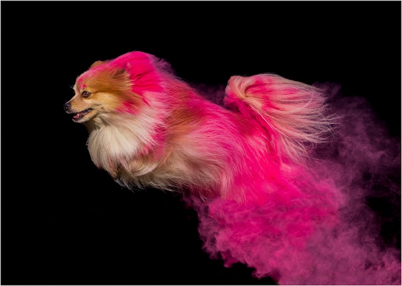 Hillcrest Camera Club - Robyn Ambler - Superfloof
