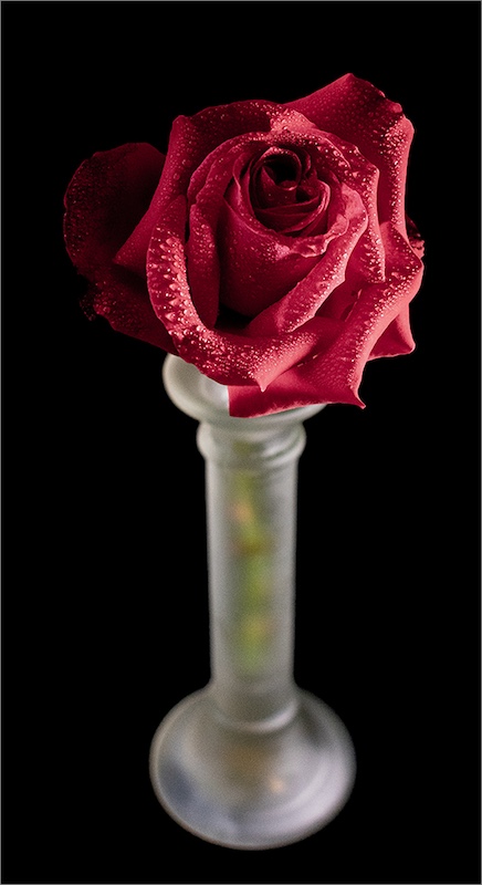 Brandpuntfotoklub - Estelle Mouton - Rose in frosted glass