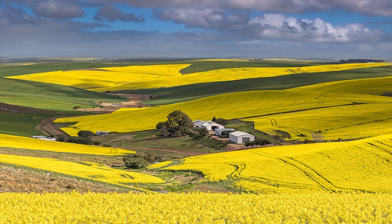 Cape Town Photographic Society - Nicol du Toit - Leeukop naby Protem