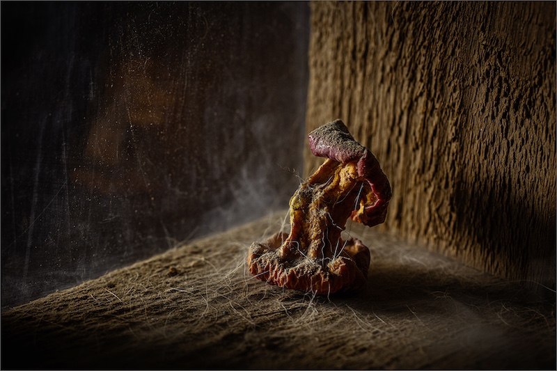 Fstop Photographic Society - Arnold Bester - Left in the Corner