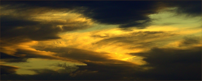George Camera Club - Roza Barnes - Moody sky