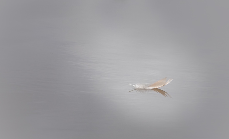 Randburg Foto Klub-Randburg Photo Club - Janine Nimmo - On the water