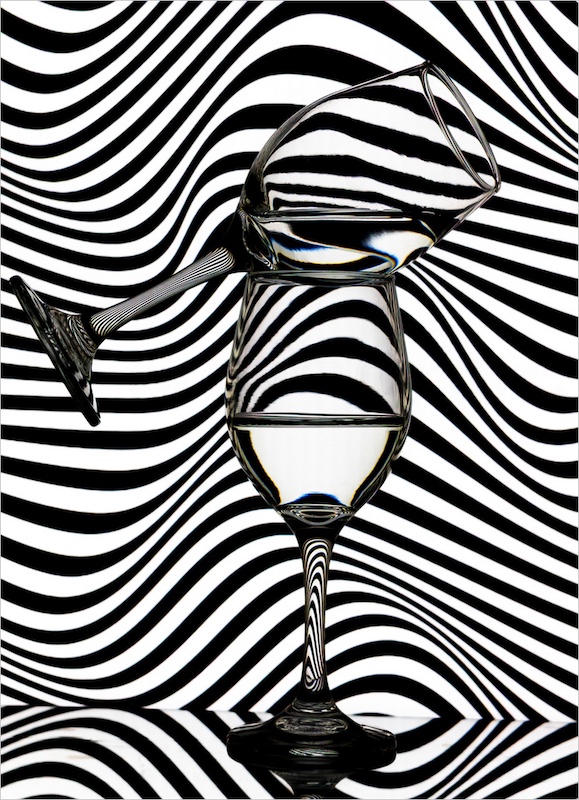 Sapphire Coast Camera Club - Leanne Troskie - Zebra Glass