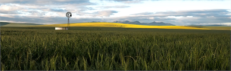 Swartland Fotografieklub - Desere Coetzer - Malmesbury dawn