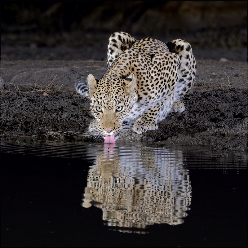 Eden Photographic Society - Elaine van der Toorn - Lapping in the dark
