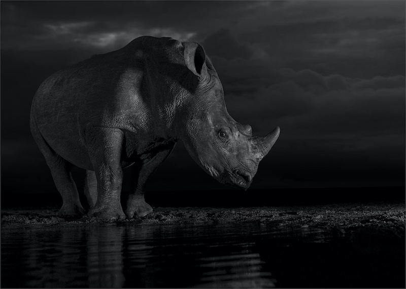 Highway Camera Club - Shirley  Gillitt - Precious Cargo