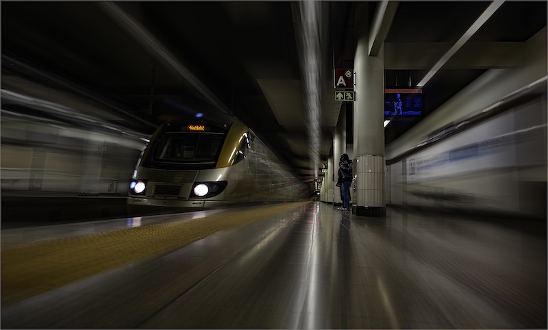 IPIP Photographic Club - Sandy van Vuuren - On the Move