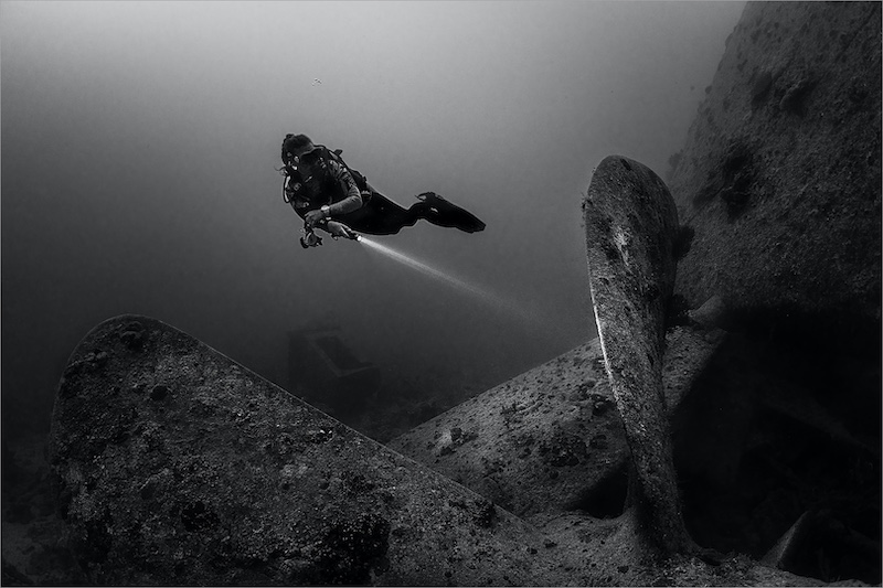 Sandton Photographic Society - Bryan Kimmel - Thistlegorm Prop