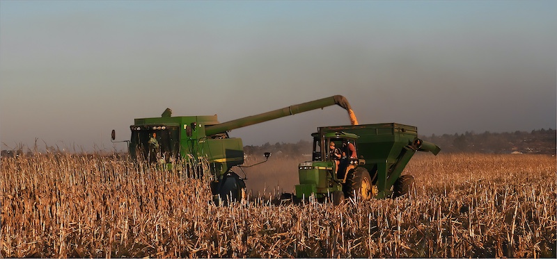 Sasol Highveld Photography Club - Sussa Pelser - Gathering The Harvest
