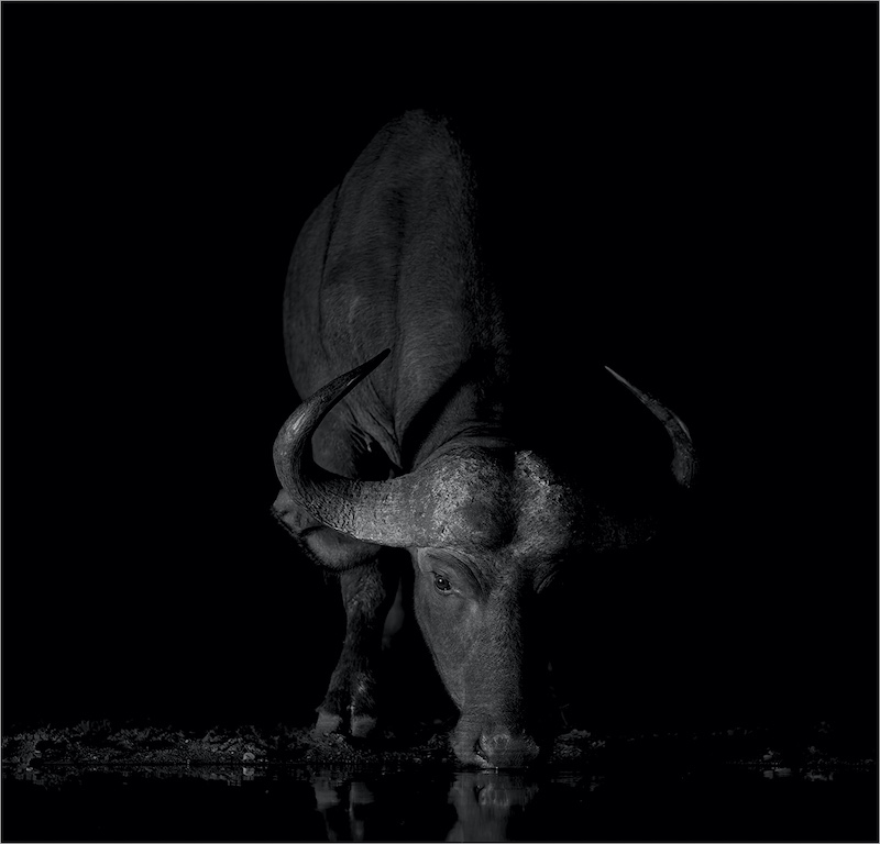 Eric Bosman - Kriel Foto Club - Laat nag dors