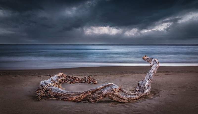 Eden Photographic Society - George Rautenbach - Dryfhout.