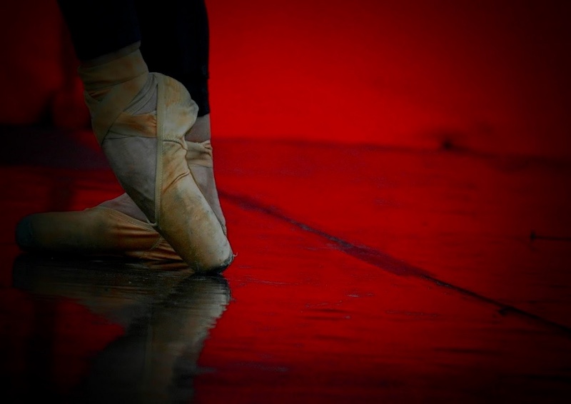 Randburg Foto Klub-Randburg Photo Club - Cathy  Kritzinger - For the love of Dance