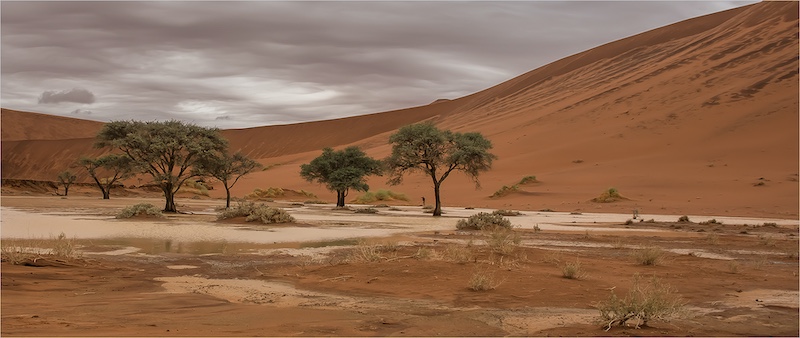 Swartland Fotografieklub - Desere Coetzer - Dead valley hope