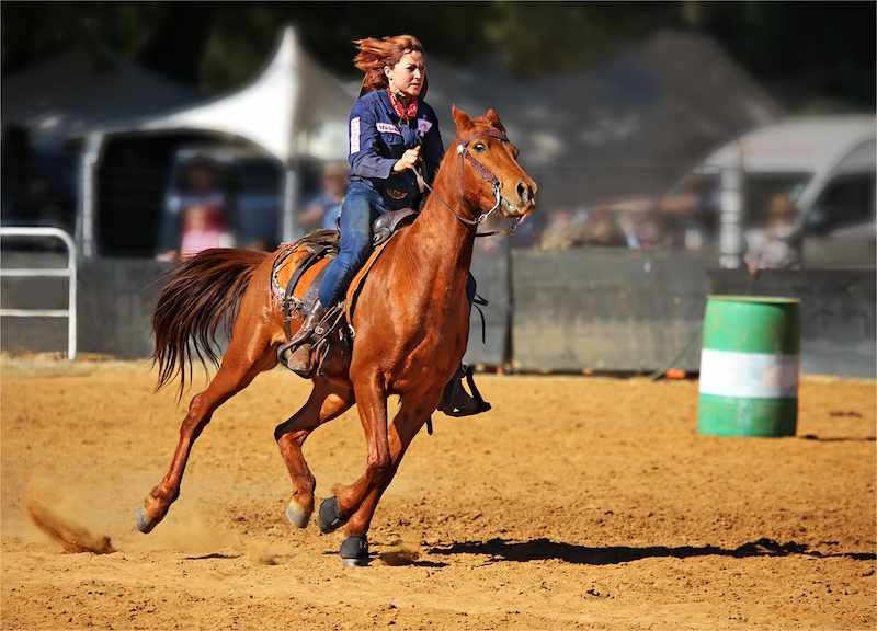 Benoni Camera Club - Hans Van der Walt - Barrel Racing