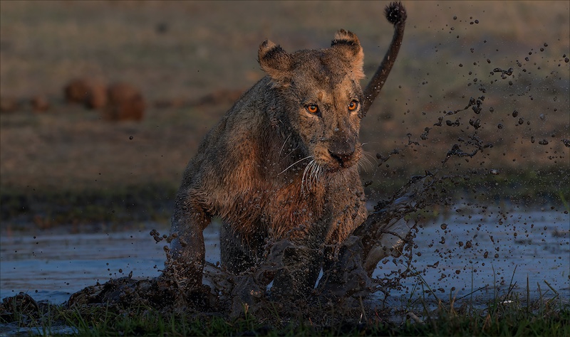 Bethal Fotografie Klub - Jannes Drotsky - Swimming