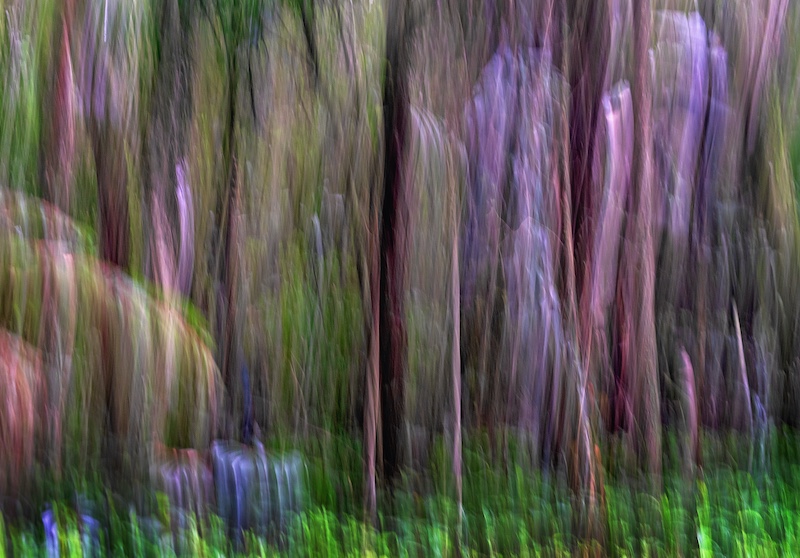 Bluff Camera Club - Karen van der Westhuizen - CM Colour Blurb