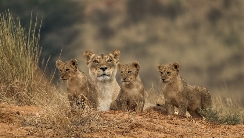 Highway Camera Club - Celia Fourie - Whats down there