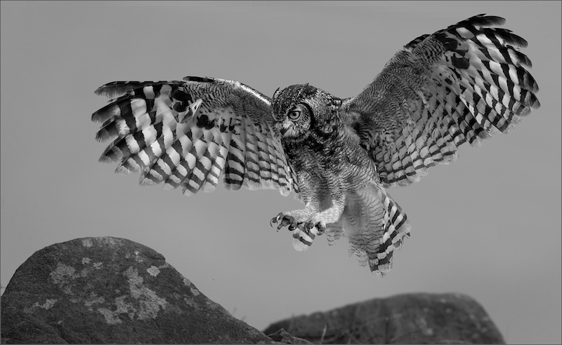 Magalies Foto Fun Club - San3 De Wet - The Silence Before Impact.jpg