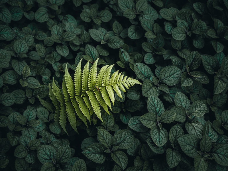 On the Rocks Camera Club - Rob Klaic - Light in the Dark