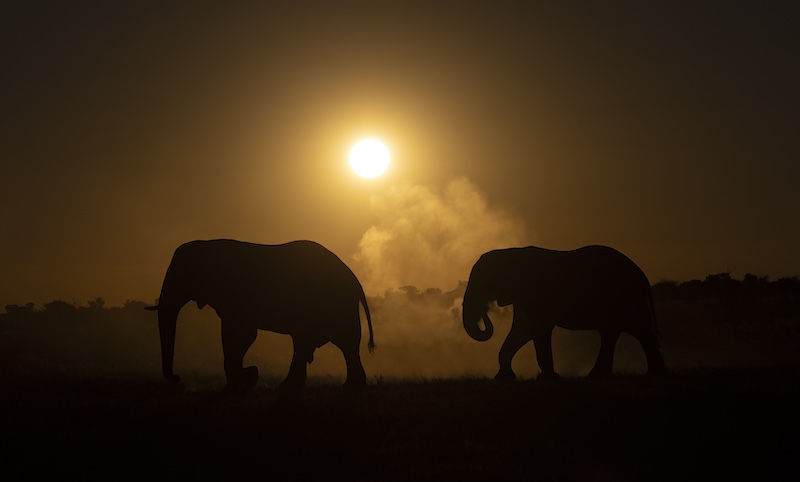 Princes Grant Camera Club - Sharlene Cathro - Puff of dust in the sunset