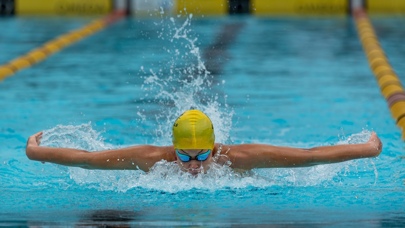 SAVAS - Chris Nel - Seals Fly Best