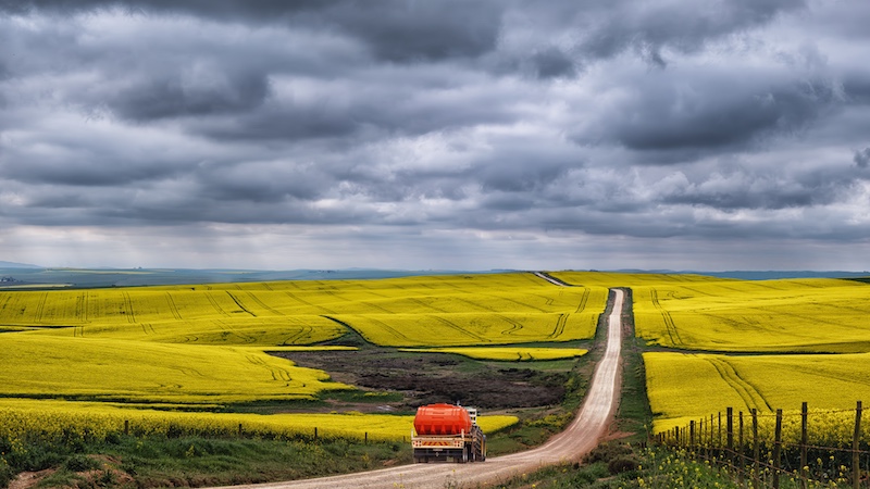 Eileen  Covarr - Knysna Photographic Society - Red water tanker