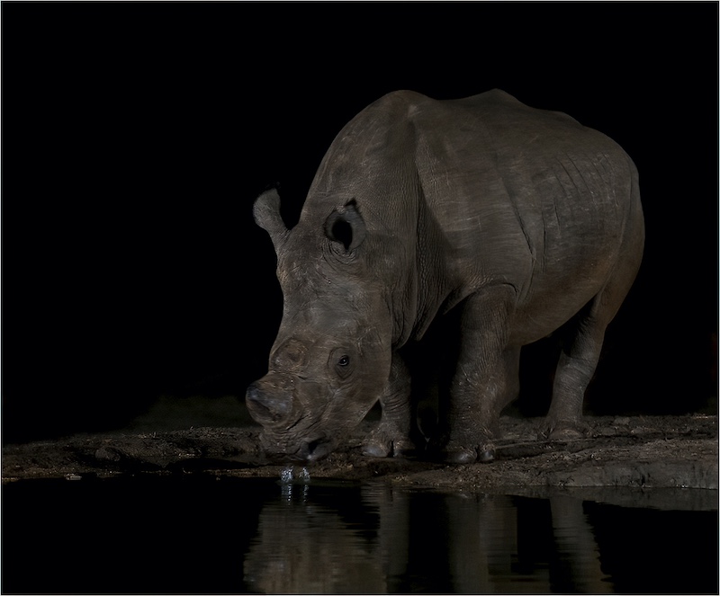 Eric Bosman -  Independent - Ou Grootte