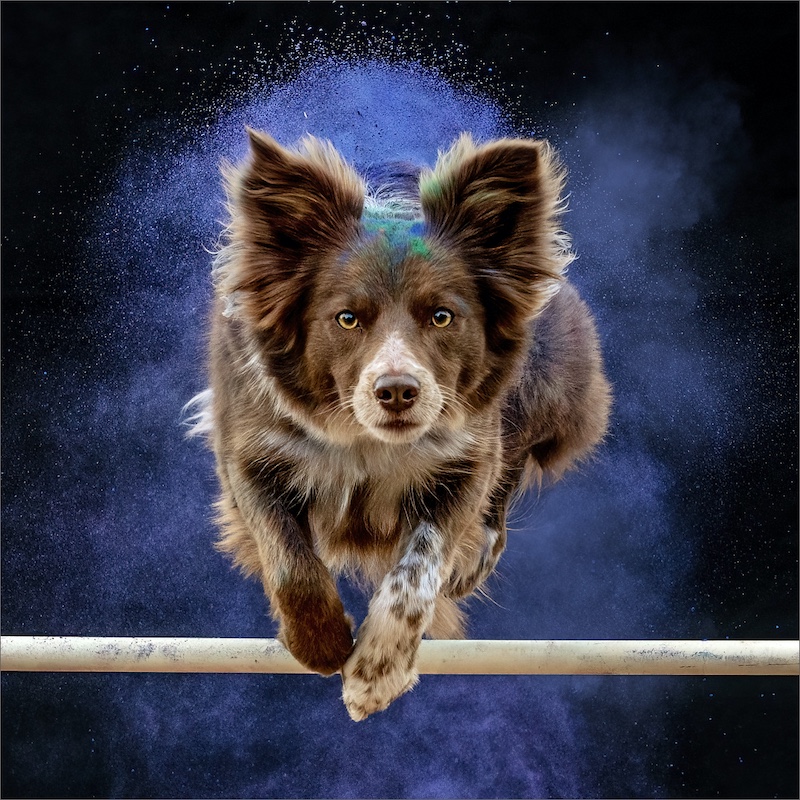 Robbie Aspeling -  Independent - Straight Over