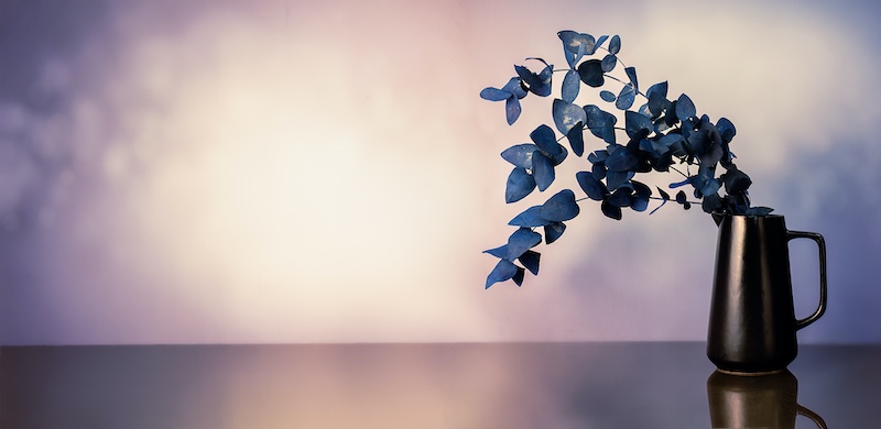 Shawn Bubb - Klerksdorp Fotografie Klub - blue space