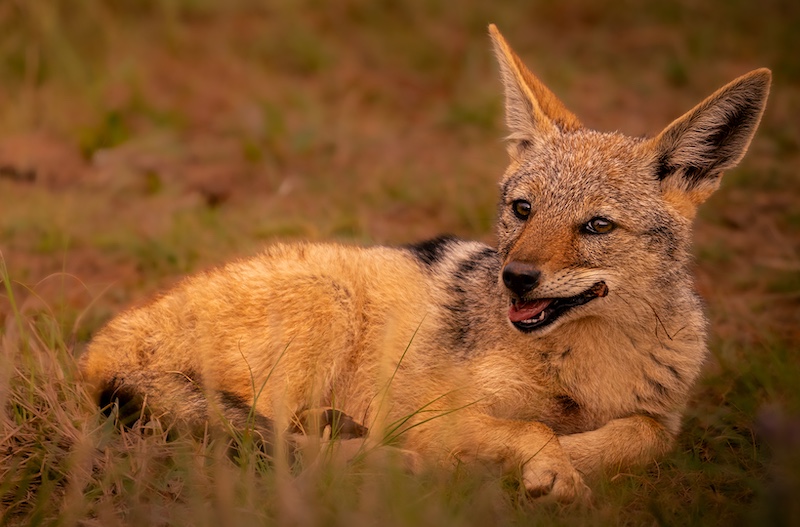 Yolandi Geyser - Sasol Highveld Photography Club - Relaxing