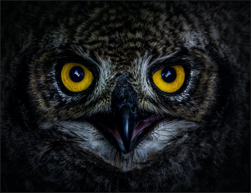 George Camera Club - Laetitia Chandler - A better view