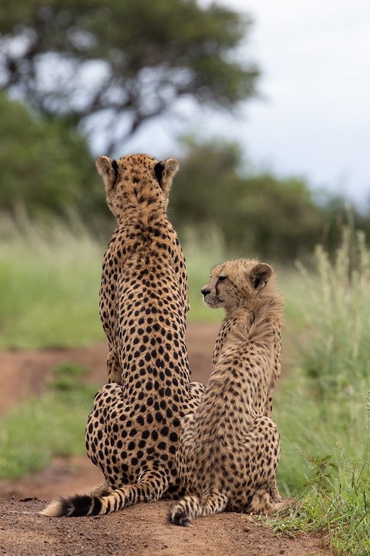 Westville Camera Club - Marco Dagnolo - Me and my mom