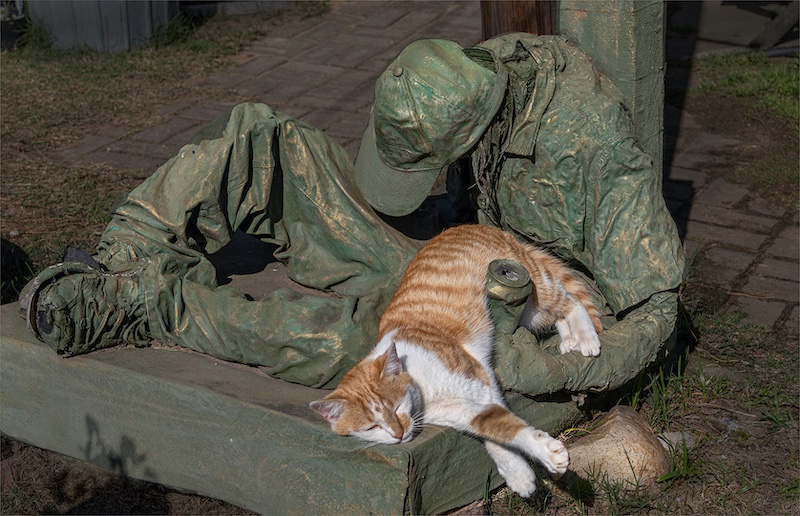 Mosselbaai Kameraklub - Carien Kruger - StokFlou